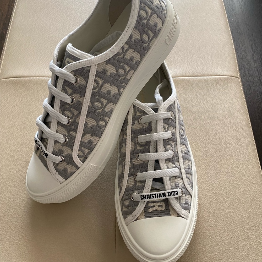 Size 41 Euro 10.5 - Dior Walk'n'Dior Embroidered Low Gray